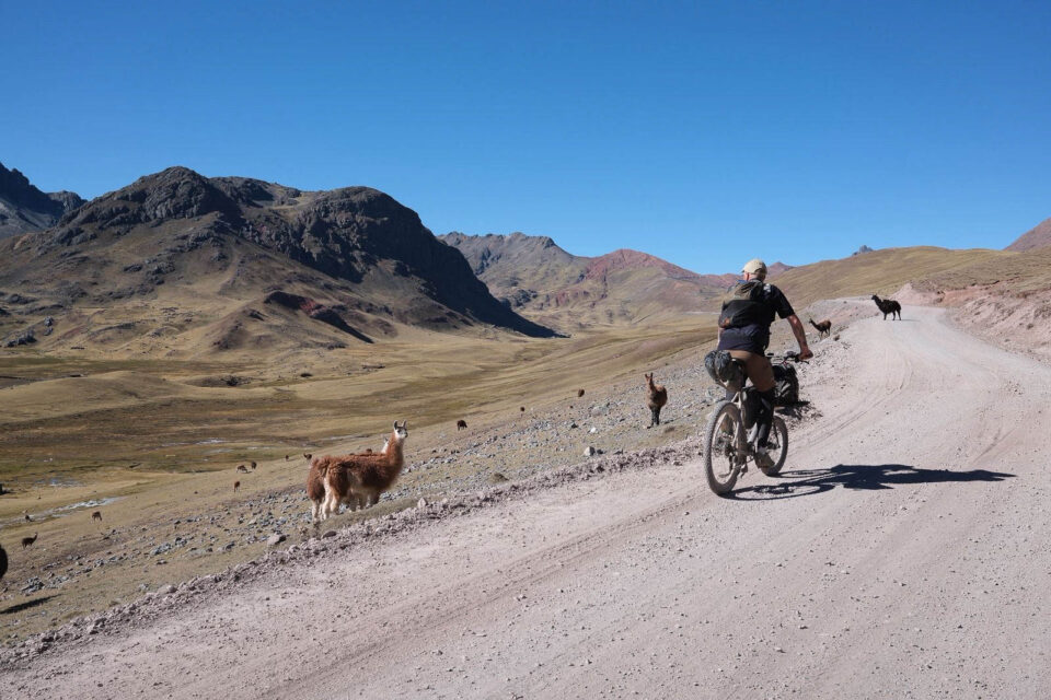 Back to Basics: Cycling as an Evolving Journey