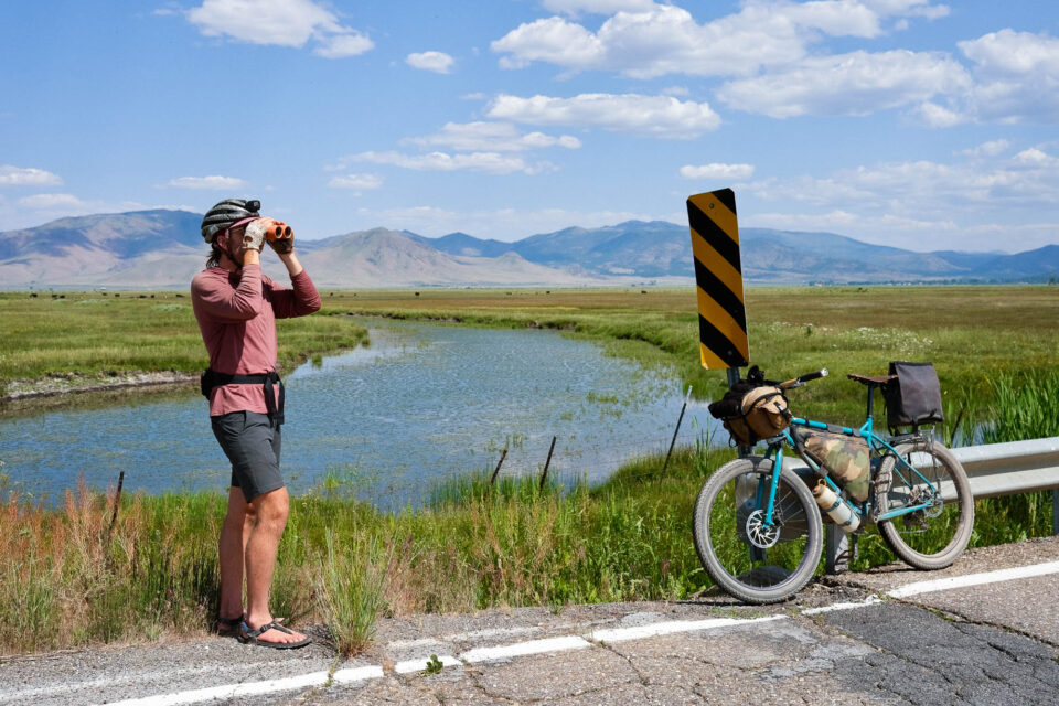 A Beginner’s Guide to Bike Birding