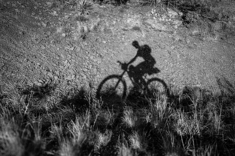 Pinyons, Lions, Pines, and Doubt: 350 Miles Across Arizona