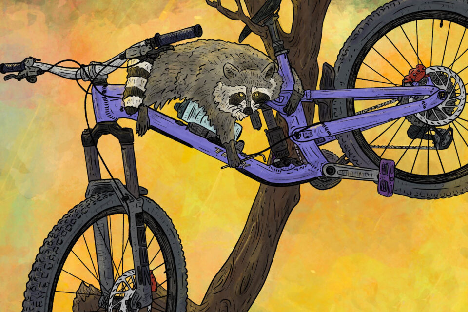 Rider’s Lens: Living the Dream with Cy Whitling