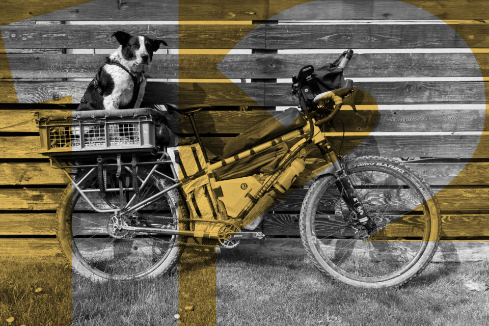 Our 12 Most Popular Articles and Routes of 2025