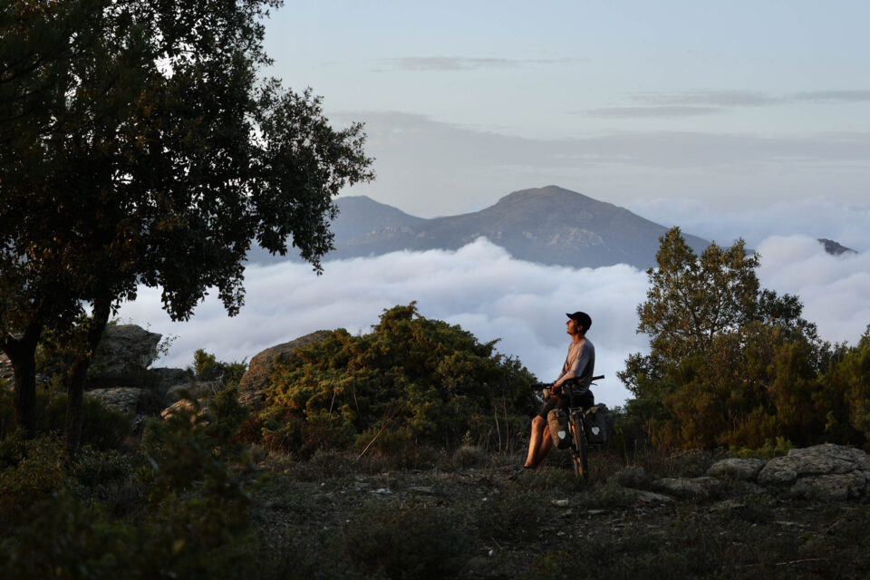 TranSardinia