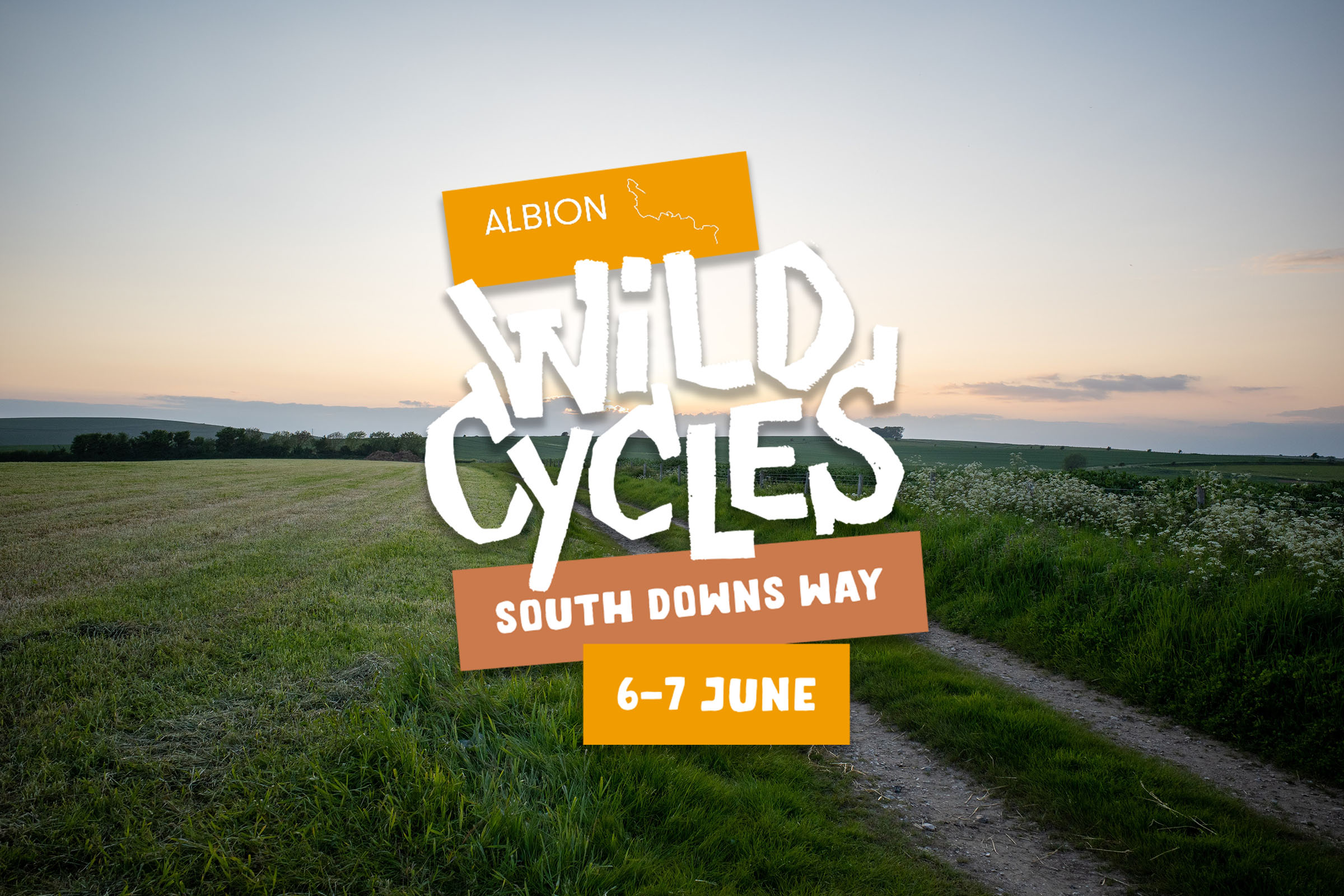 wild cycles